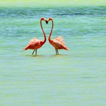 Hotel Wayak Isla Holbox Екстериор снимка